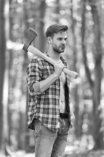 Hombre sexy con torso muscular en camisa a cuadros abierta con pantalones vaqueros llevan hacha de gran división en el paisaje natural de madera de verano, la naturaleza —  Fotos de Stock