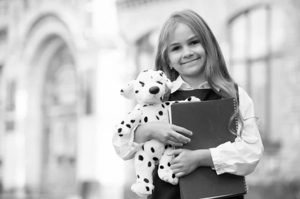 Aprende y juega. Niño feliz sostiene juguete perro y libros. De vuelta a la escuela. Educación primaria. Creatividad e imaginación. Jardín de infantes y guardería. Después de clase y guardería. Gran lugar para aprender, copiar espacio —  Fotos de Stock