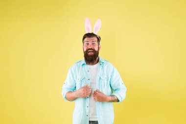 Her zaman tavşan kulağı tak. Mutlu tavşan sarı arka plan. Sakallı adam tavşan kostümü giyer. Yeni bir hayat. Bahar geldi. Yeniden doğuş ve doğurganlık. Tatil kutlaması. Paskalya Tavşanı