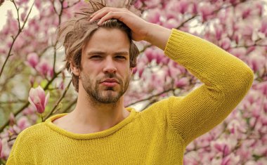 Kokudan başı ağrıyor. traşsız erkek manolya ağacı. Çiçek açan seksi adam. Bahar modası. Erkek cinselliği. Sakura arka planı. İyi havanın tadını çıkar. Taze çiçek.