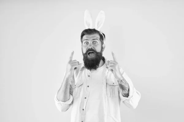 Mente creativa. Il coniglio pasquale ha avuto un'idea. L'uomo barbuto punta il dito su uno sfondo giallo. Idea per celebrare la Pasqua. Festeggiamenti. Idea di festa. E 'primavera. Buona Pasqua idea — Foto Stock