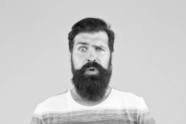 Saç bakımı ve cilt bakımı. Sarı arka planda vahşi sakallı adam. Yakışıklı, kendine güvenen bir adamın mükemmel bir saç şekli var. Erkek yüz bakımı. Vahşi sakallı adamın portresi. Bıyıklı, şık bir adam.