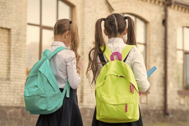 Bilgileri incele ve yay. Küçük çocuklar ağır sırt çantaları taşırlar. Bilgi toplama günü. Okula dönelim. Eğitim ve öğrenim. Bilgi becerileri. Özel ders. 1 Eylül. Okul zamanı. Bilgi önemlidir.