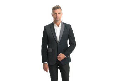 Şık saç kesimi olan bekar yakışıklı bir adam resmi takım elbise giyer. Beyaz, bekar bir erkek.