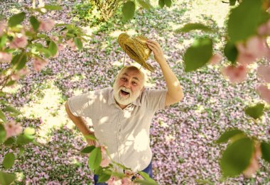 Mutlu yaşlılıklar. Neşeli emekliler. Akıl sağlığı. Sakura ağacının altında yukarı bakan mutlu bir adam. Mutlu gülümseyen son sınıf öğrencisi yukarı bakıyor. Olumlu duygular. Yaşlı adam pozitif ve iyimser. Keyfin yerinde.