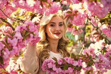 Pembe çiçekler etrafını sarmış. Sakura çiçeğine dalmak. Sakura çiçekleri. Çiçek Özütü. Gerekli yağlar. Doğal kozmetikler. Dişi çiçek parfümü. Bahar doğası. Güzel kadın makyajı, yüzü sarı saçlar.