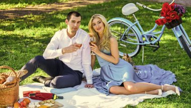 Gerçek aşk. Şarap içen sevimli bir çift. Güneşli bir günde şarap içen çift. Sonsuza dek birlikte. Romantizm konsepti. - Şerefe. Yıldönümünü kutlayalım. Kırsalda Romantik Günbatımı Pikniğinin keyfini çıkaran Çekici Çift