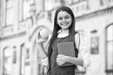 Çok hoşuma gidiyor. Mutlu çocuk, elma ve kitap tut. Okul yemeği. Yemek molası. Sağlıklı beslenme ve atıştırma. Vejetaryen yemeği. Diyet ve diyet. Kahvaltı ya da öğle yemeği vakti. Beslenme eğitimi. Besleyici ol.