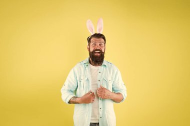 Her zaman tavşan kulağı tak. Mutlu tavşan sarı arka plan. Sakallı adam tavşan kostümü giyer. Yeni bir hayat. Bahar geldi. Yeniden doğuş ve doğurganlık. Tatil kutlaması. Paskalya Tavşanı