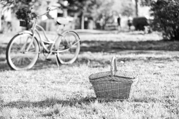 Picnic time. Vintage bike garden background. Rent bike to explore city. Nature cycling tour. Retro bicycle with picnic basket. Bike rental shops primarily serve typically travellers and tourists