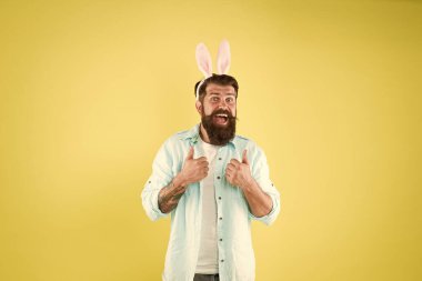 İçtenlikle tavsiye ediyorum. Uzun tavşan kulakları. Sakallı adam Paskalya tavşanı kostümü. Paskalya tavşanı ya da tavşan. Paskalya partisi için giyinmiş bir hippi. Doğurganlığın ve baharın Paskalya tavşanı. Eğleniyorum.