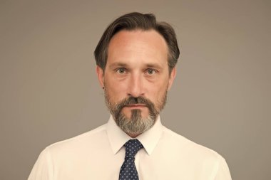 Berber dükkanı saç bakımı. İyi giyimli bir erkek. Mükemmel sakal ve bıyık. Tişörtlü, olgun bir adam. Kendine güvenen bir ofis çalışanı Yetenekli ve profesyonel. İş adamının karizması var. Saç dökülmesi ve bakım