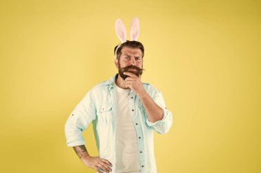 Yüz şeklin için sakal. Paskalya tavşanı sarı arka plana dokunur. Sakallı, şık sakallı adam tavşan kulağı takıyor. Erkekler tımar ediliyor. Berber salonu. Berber dükkanı. Sakalına özen gösteriyorum.