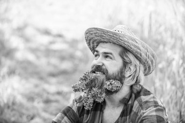 Parlak yaşa. Hasır şapkalı rahat bir çiftçi. Yetişkin bahçıvan yeşil çimlerde rahatlar. Bahar doğasının tadını çıkar. Yaz sezonu leylakla. Vahşi çiftlik hippisinin uzun ve sağlıklı sakalı var. saçtaki çiçek