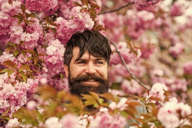 Kiraz çiçekli hippi. Sakura çiçekli adam. Nisan etkinlikleri. Pembe narin çiçek. Bahçe konseptinde hafta sonu. Parkta yürü. Doğal güzellik etrafımı sardı. Dışarıdaki yakışıklı sakallı adam. Mutlu Paskalyalar