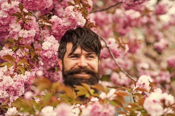 Kiraz çiçekli hippi. Sakura çiçekli adam. Nisan etkinlikleri. Pembe narin çiçek. Bahçe konseptinde hafta sonu. Parkta yürü. Doğal güzellik etrafımı sardı. Dışarıdaki yakışıklı sakallı adam. Mutlu Paskalyalar