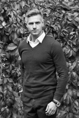 Sonbahar yaprakları üzerinde yakışıklı bir adam. Erkek güzellik konsepti. Kendine güvenen iş adamları günlük iş kıyafetleri giyerler. Tıraşsız, olgun bir adam. Erkek güz mevsimi modası. Sonbahar renklerinde