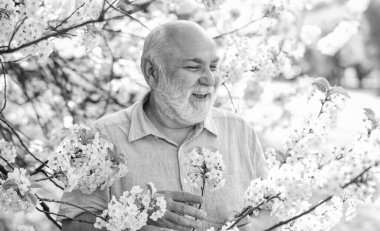 Adam koruyucu maskeyi çıkar. Koronavirüs karantinasında çiçek kokusu alıyorum. Salgın sırasında önlemlere dikkat edin. sağlıklı bir hayat. Sakura parkında maske takın. Sağlığına dikkat et. Bahar güzeli