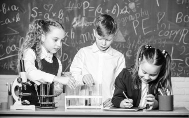 Resmi eğitim. Kızlar ve erkek öğrenciler sıvılarla okul deneyi yapıyorlar. Okul laboratuarı. Grup öğrencileri kimyasal sıvılar üzerinde çalışıyor. Okulun kimya dersi. Madde içeren test tüpleri