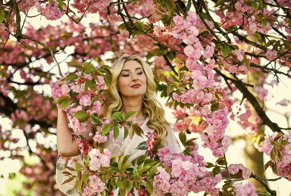 Bahar sembolü Kız bahçedeki sakuranın tadını çıkarıyor. Kiraz ağacı. İyi titreşimler. Çiçek aroması. Bahar çiçeği açan ağaç. Çiçeklerin kadınları neden her zaman mutlu ettiğini. Mutlu bahar günleri. Uyum ve kadın enerjisi