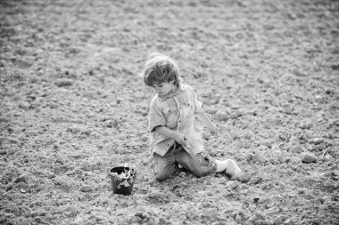 Mutlu çocukluk kavramı. Bahçedeki küçük yardımcı. Küçük bir kürekle ve saksıda bitki yetiştirerek eğlenen bir çocuk. Tarlada ekmek. Tohum ekiyorum. Küçük çocuk tarlaya çiçek ekiyor. Çiftlikte eğlence zamanı.
