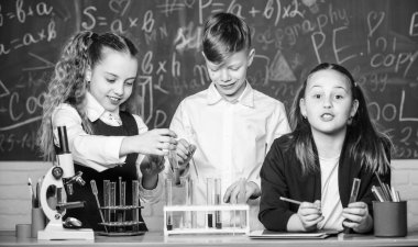 Grup öğrencileri kimyasal sıvılar üzerinde çalışıyor. Okulun kimya dersi. Madde içeren test tüpleri. Resmi eğitim. Kızlar ve erkek öğrenciler sıvılarla okul deneyi yapıyorlar. Okul laboratuvarı