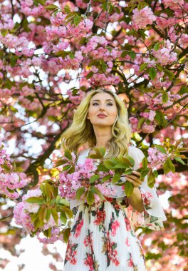 Mutlu bir anı yakalıyorum. Parkta bahar doğası çiçek açar. Retro kadın sakura çiçeği kokusu alıyor. Kaplıca ve güzellik tedavisi. yumuşak cilt bakımı. Kiraz ağacı bahçesinde sağlıklı bir kız. Klasik yaz modası.