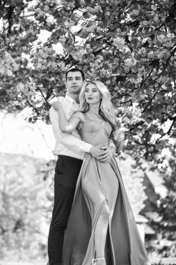 İnsanları sevmek, sarılmak. Tutku konsepti. Çiçek açan bahçedeki kadın ve erkek. Çiftler bahar ağacı bahçesinde vakit geçirirler. Sakura çiçeğinin altında aşık bir çift. Sakura çiçeğinin altında aşık bir çift. Aşk hikayesi.