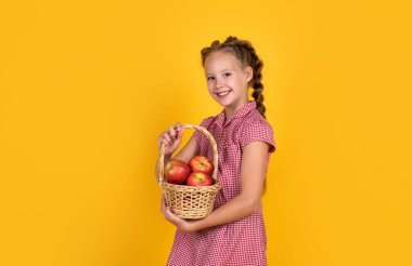 Bahçeden elma tutan mutlu kız. Çocuk elinde meyve sepeti tutuyordu. Çocuk kırmızı elma yiyor. Sağlıklı yaz yemekleri. Vejetaryen diyeti. Sonbahar hasadında meyve. Sonbaharda sağlıklı beslenme