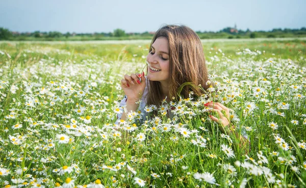 幸せな女性は夏のカモミール畑に花を集め — ストック写真