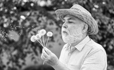 Huzur ve sükunet. Ruhun ahengi. Hasır şapkalı yaşlı bir adam. Mutlu ve kaygısız emeklilik. İçim rahat olsun. Huzur dolu. Yalnız dede parkta karahindiba tohumu saçıyor. Ruh Sağlığı