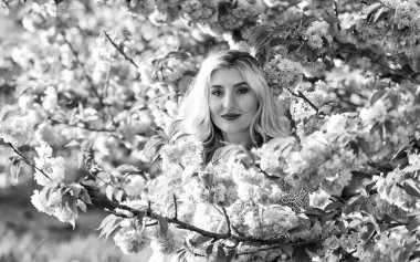 Şefkat ve kadınlık. Kiraz ağacı. Çiçek aroması. Çiçeklerin kadınları mutlu etmesinin nedenleri. Dinlen ve tatil yap. Bahar çiçeği. Mutlu bahar günleri. Bahar sembolü Kız bahçede sakura 'nın tadını çıkarıyor.