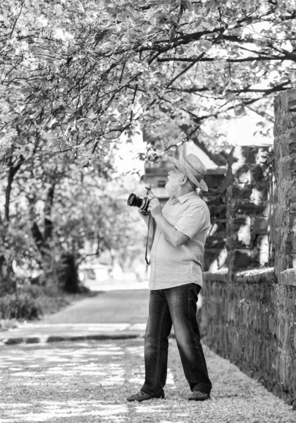 Coleção Primavera. viajante câmera homem sob sakura flor jardim. conceito de viagem. fotógrafo masculino desfrutar flor de cereja. viajar e caminhar no parque de cereja. hobby na aposentadoria. turismo e férias. — Fotografia de Stock