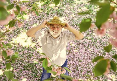 Olumlu duygular. Mutlu yaşlılıklar. Neşeli emekliler. Akıl sağlığı. Sakura ağacının altında yukarı bakan mutlu bir adam. Mutlu gülümseyen son sınıf öğrencisi yukarı bakıyor. Yaşlı adam pozitif ve iyimser. Keyfin yerinde.