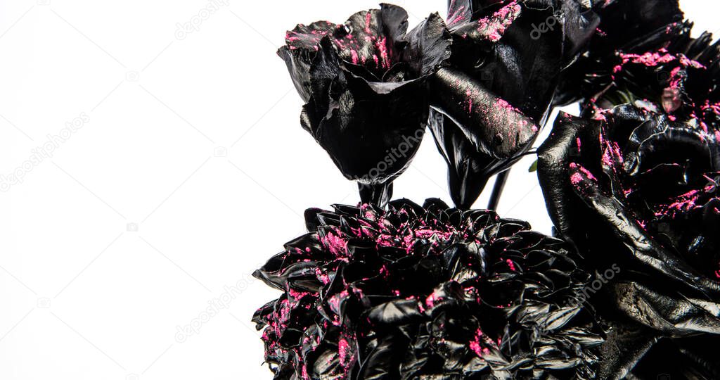 Black bunch of burned natural flowers isolated on white copy space, roses