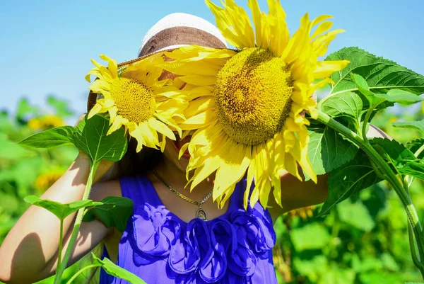 Pequeña chica de estilo rústico escondido detrás de los girasoles, encontrarme — Foto de Stock