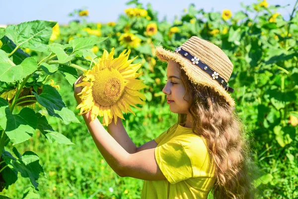 農園で美しいひまわりを収穫する遊び心のある子供の女の子、園芸コンセプト — ストック写真