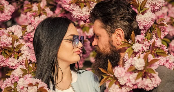 Apaixonar-me. Apaixonado pela primavera. Casal apaixonado abraçando ao ar livre. Gente da moda. Amor terno. Casal sakura árvore de fundo. Homem e mulher bonita desfrutando rosa flor de cereja. Data romântica — Fotografia de Stock