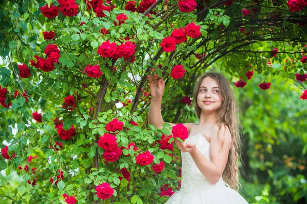 Menina vestido elegante desfrutando de rosa flor aroma florescendo jardim, conceito de eco lifectyle — Fotografia de Stock