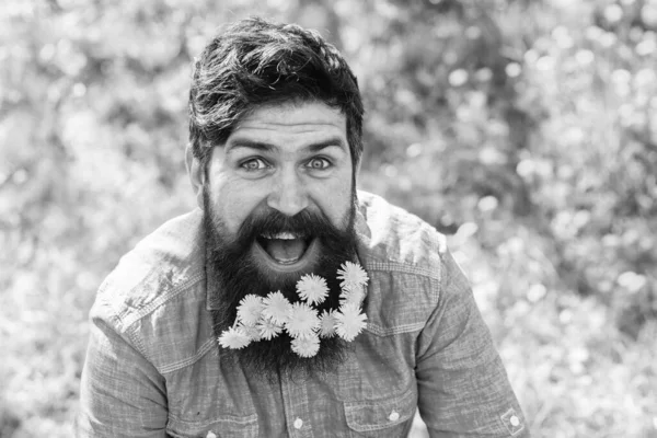 Temporada de verano y primavera. diente de león. peluquero y peluquero. Moda floral y belleza. hipster barbudo disfrutar de un día soleado. hombre feliz con flor en pelo de barba. calvicie y concepto de pérdida de cabello — Foto de Stock