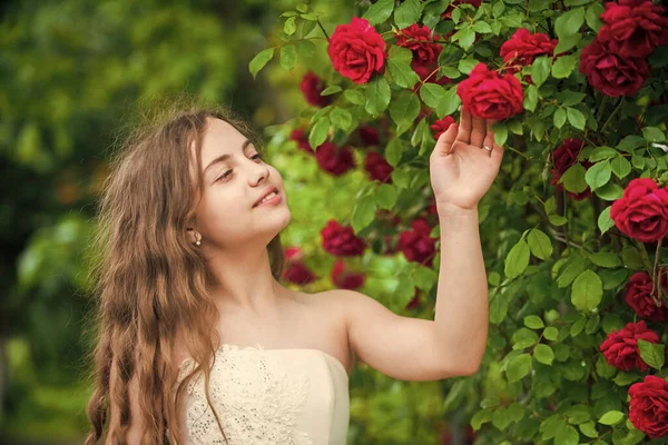 Unglaublich schön. hübsches Kind riecht Rosenblüte. Frühling und Sommer Natur. Mädchen im Garten. Kinder genießen Blütenpracht im Park. kleiner Engel für Braut. Nette Dame. glückliche Kindheit. Schönheit und Mode — Stockfoto