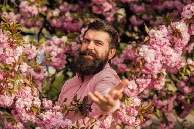 Bahçe konseptinde hafta sonu. Nisan etkinlikleri. Bahar tatili. Baharıma katıl. Doğal güzellik. Dışarıdaki yakışıklı sakallı adam. Kiraz çiçekli hippi. Sakura çiçekli adam. Bahar pembe yumuşak çiçekleri