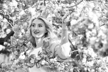 Bahar doğası. Dişi çiçek parfümü. Pembe çiçekler etrafını sarmış. Güzel kadın makyajı, sarı saçlar. Sakura çiçeğine dalmak. Sakura çiçekleri. Çiçek Özütü. Gerekli yağlar. Doğal Kozmetik