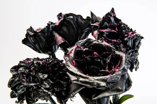 Burned to ashes. Burned flowers isolated on white. Dark flowers with glowing embers. Black bouquet