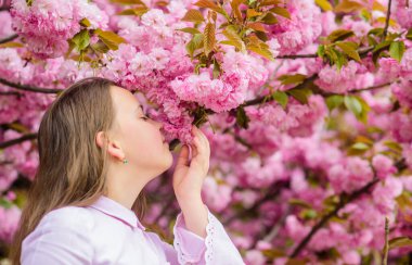 Mutlu bahar tatilleri. Botanik bahçesinde bahar. Bahar böyle kokar. Yumuşak bir çiçek. Küçük kız baharın tadını çıkarıyor. Sakura ağacının pembe çiçekleri üzerinde bir çocuk. Kiraz çiçekli sakuranın tadını çıkaran çocuk.