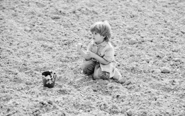 Ребенок веселится с маленькой лопатой и растением в горшочке. Сажаем саженцы. Посадка в поле. Маленький помощник в саду. Мальчик сажает цветок в поле, копает землю. Работать на ферме. Мать-природа — стоковое фото