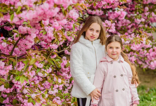Perdido en flor. Chicas posando cerca de Sakura. Niños sobre flores rosadas de sakura fondo de árbol. Concepto botánico. Niños disfrutando de sakura de flor de cerezo. Flores suaves nubes rosadas. Los niños disfrutan de primavera cálida — Foto de Stock