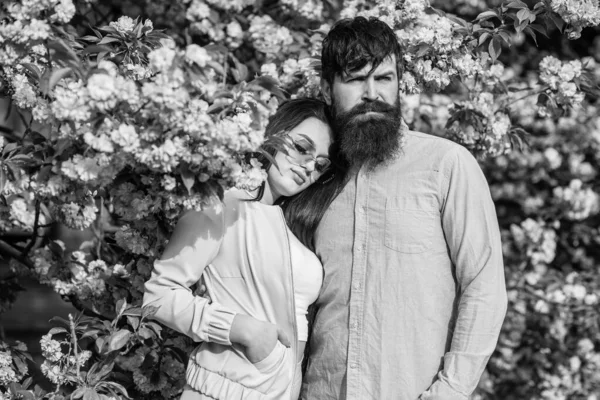 Casal apaixonado abraçando ao ar livre. Gente da moda. Temporada romântica. Amor terno. Casal sakura árvore de fundo. Todas as flores para ela. Homem e mulher bonita desfrutando rosa flor de cereja. Data romântica — Fotografia de Stock