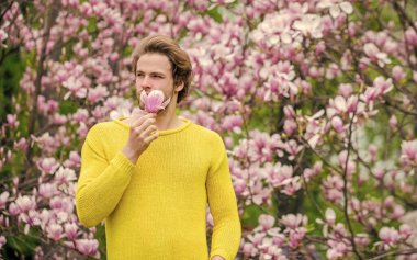 Güzel buket. Bahar tatili Anneler günü hediyesi. Tazelenmiş hissediyorum. Kadınlar Günü 'nde. Alerji. Manolya çiçeği açan seksi adam. Sakura kokusu. İyi havanın tadını çıkar. Erkek doğal mevsimlik arka plan
