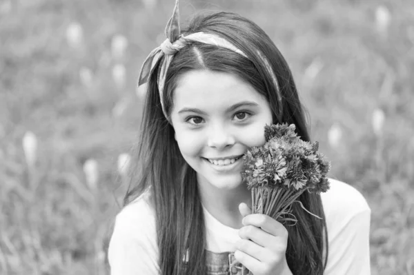 Pequena menina cornflowers buquê férias saudações, coletando flores conceito — Fotografia de Stock
